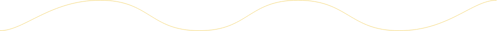 goldLoanlineBdr