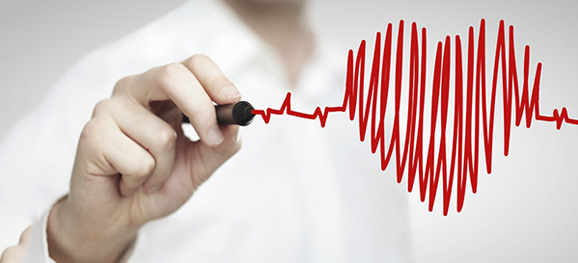 Motor Vehicle Insurance Services